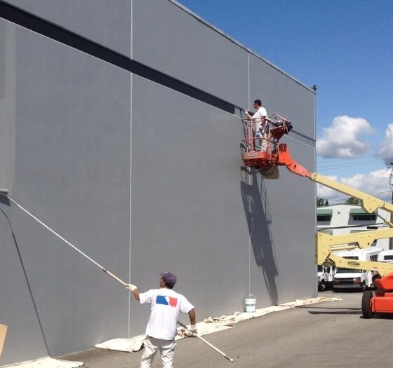 25 Awesome Commercial Painting Contractors | oya-oya-always